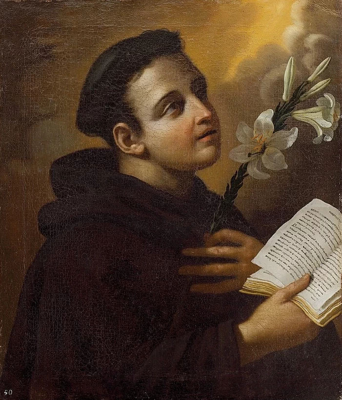 Il giovane - Sant'Antonio da Padova